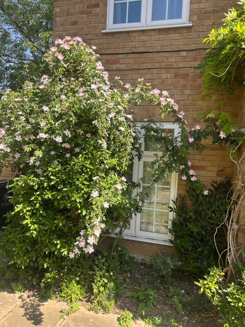 Self-contained flat Apartment in Cambridge