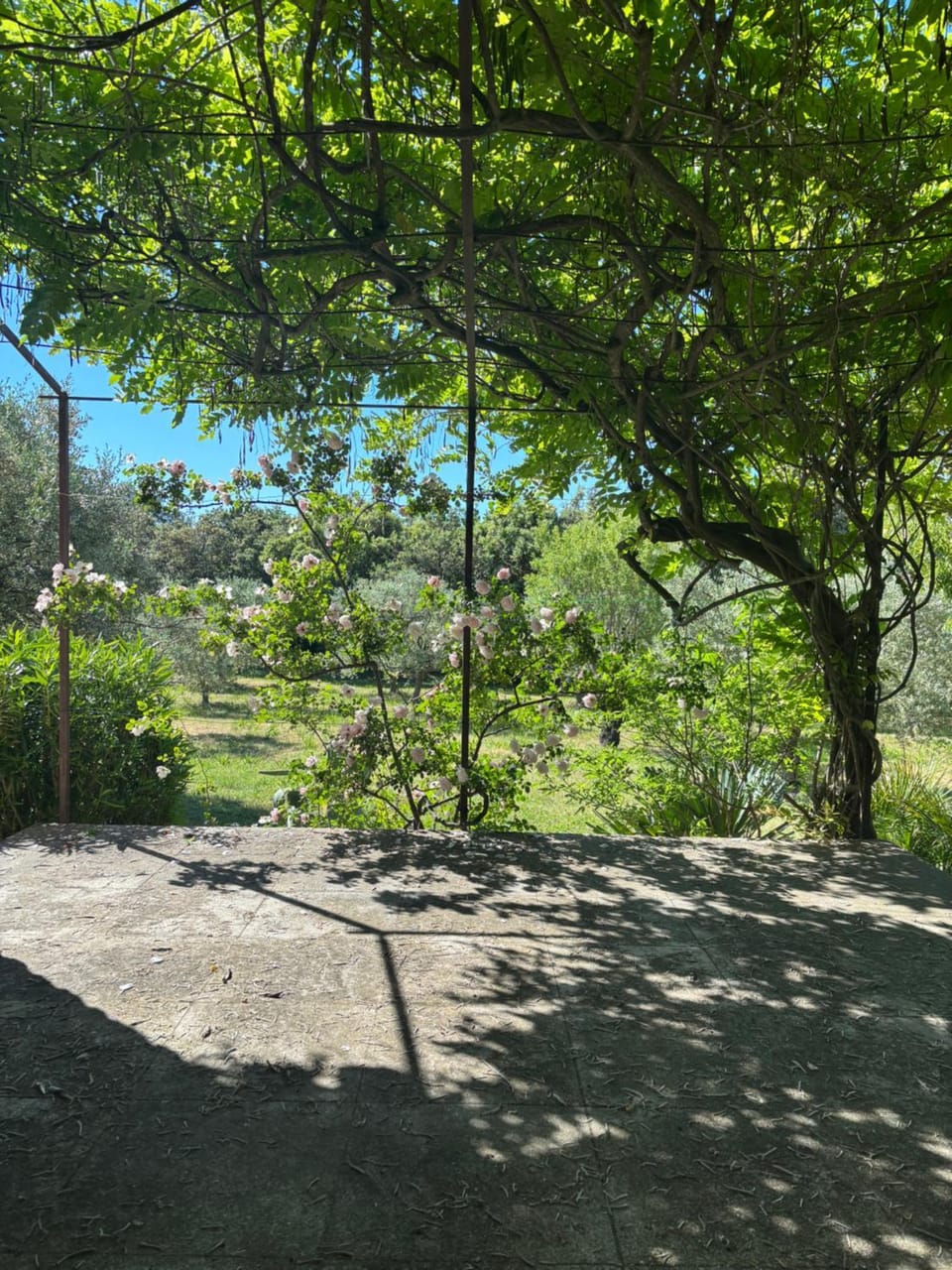 La Célestine Villa in Gordes