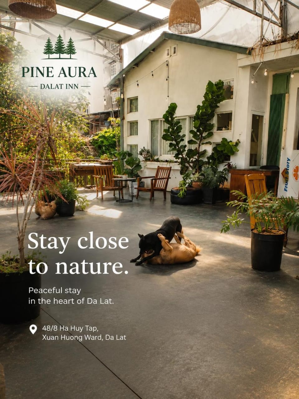Pine Aura Dalat Inn Nature lodge in Dalat