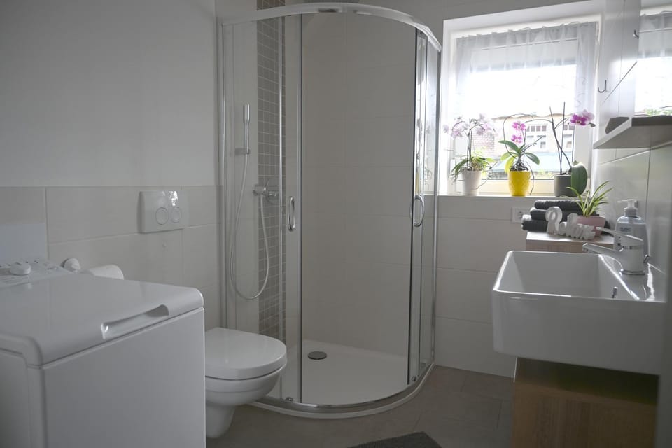 Shower, Toilet, Bathroom, towels