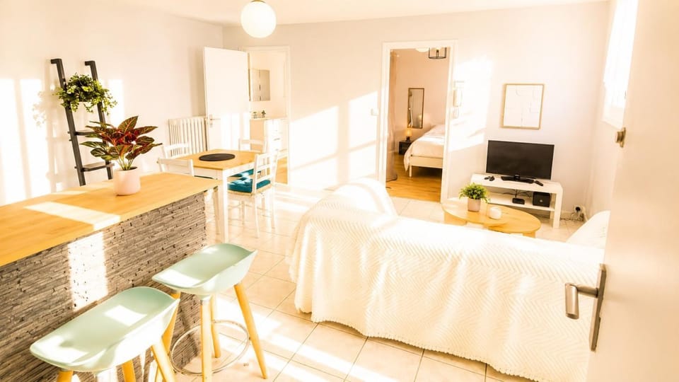Le Central Michelet – Appartement 4 pers Apartment in Tours