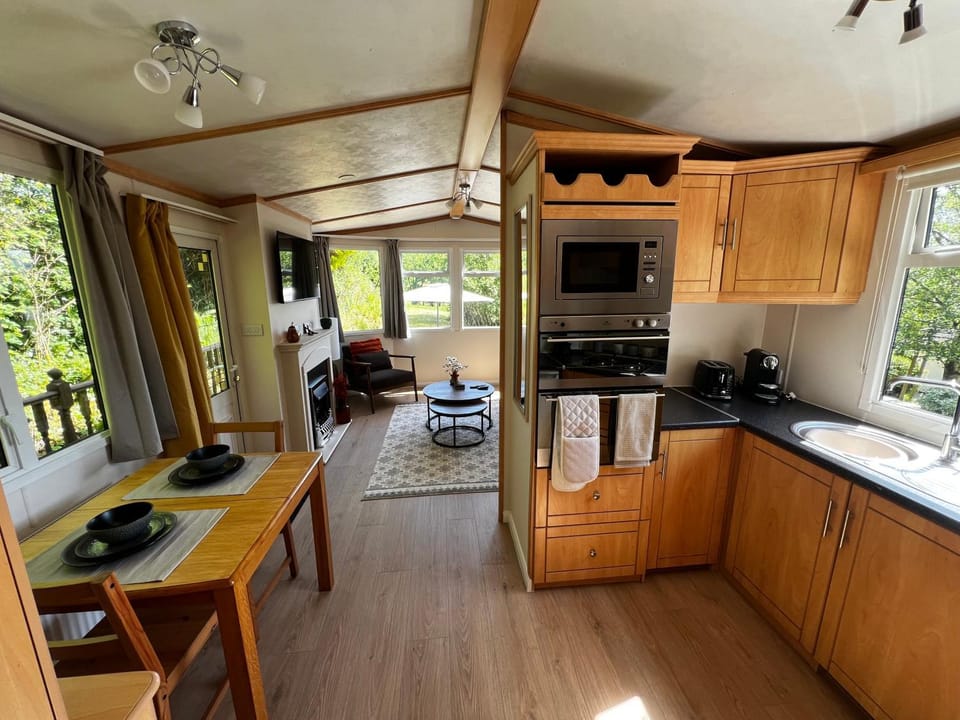Kitchen or kitchenette, Living room, Seating area, Dining area, oven, stove