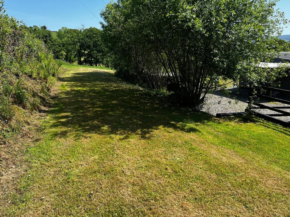 Natural landscape, Garden, Garden view