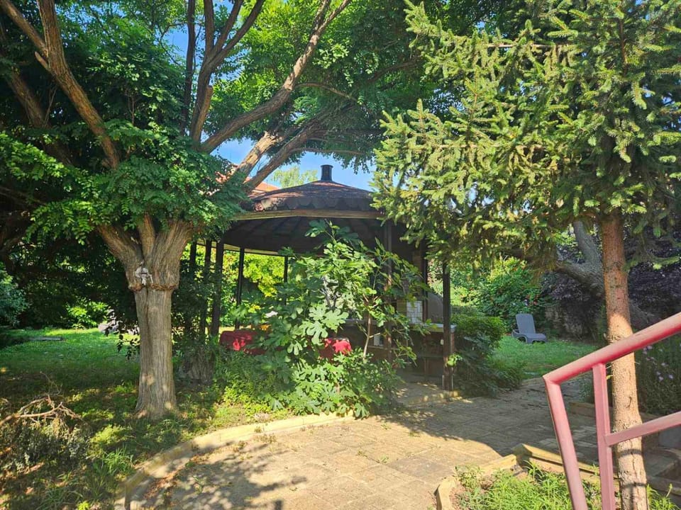 Spring, Natural landscape, Garden, Garden view