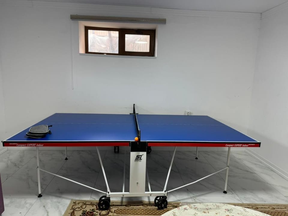 Table tennis