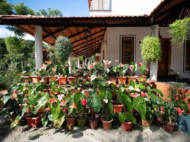 Rain Roots Estate Stay House in Madikeri