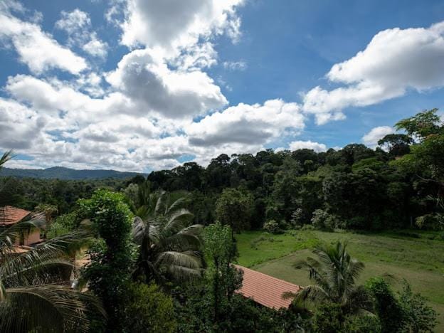 Rain Roots Estate Stay House in Madikeri