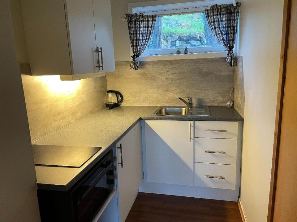 Cozy studio apartment Apartment in Lofoten