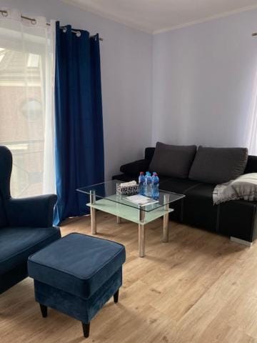 Apartament Kościuszki Apartment in Pomeranian Voivodeship