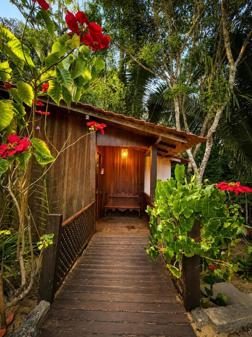 Garden, Balcony/Terrace, Garden view