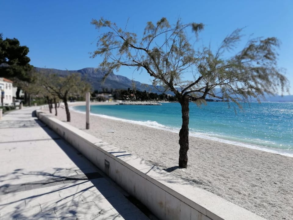 Olive Tree Apartment Apartment in Split-Dalmatia County
