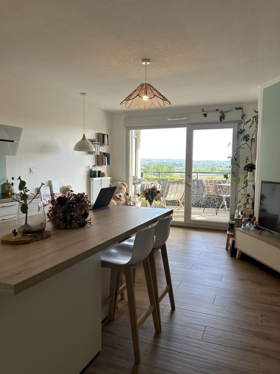 Nid douillet - Terrasse Séjour au vert - Proche de Lyon Apartment in Auvergne-Rhône-Alpes