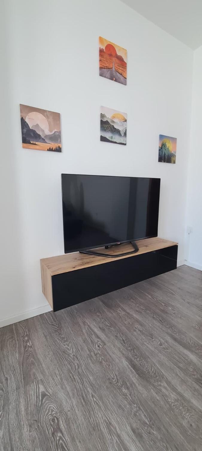 TV and multimedia