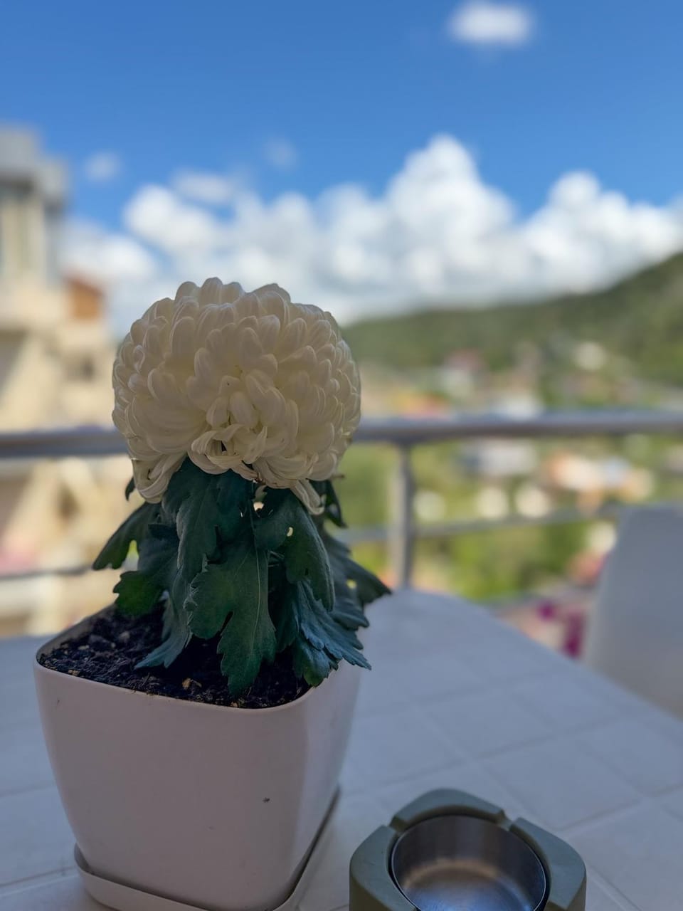 View (from property/room), Balcony/Terrace