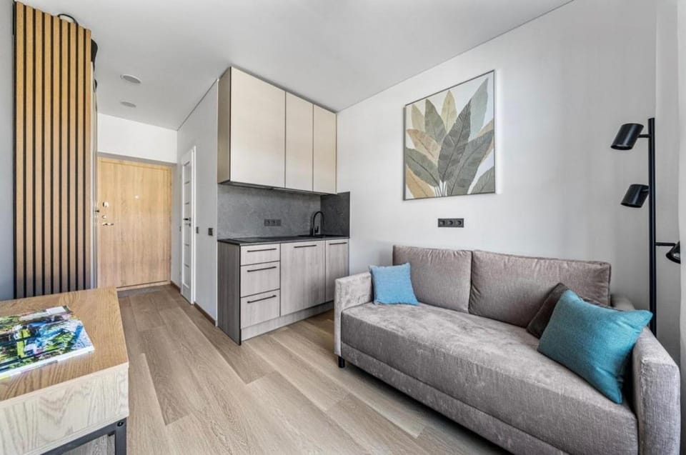 Living room, kitchen