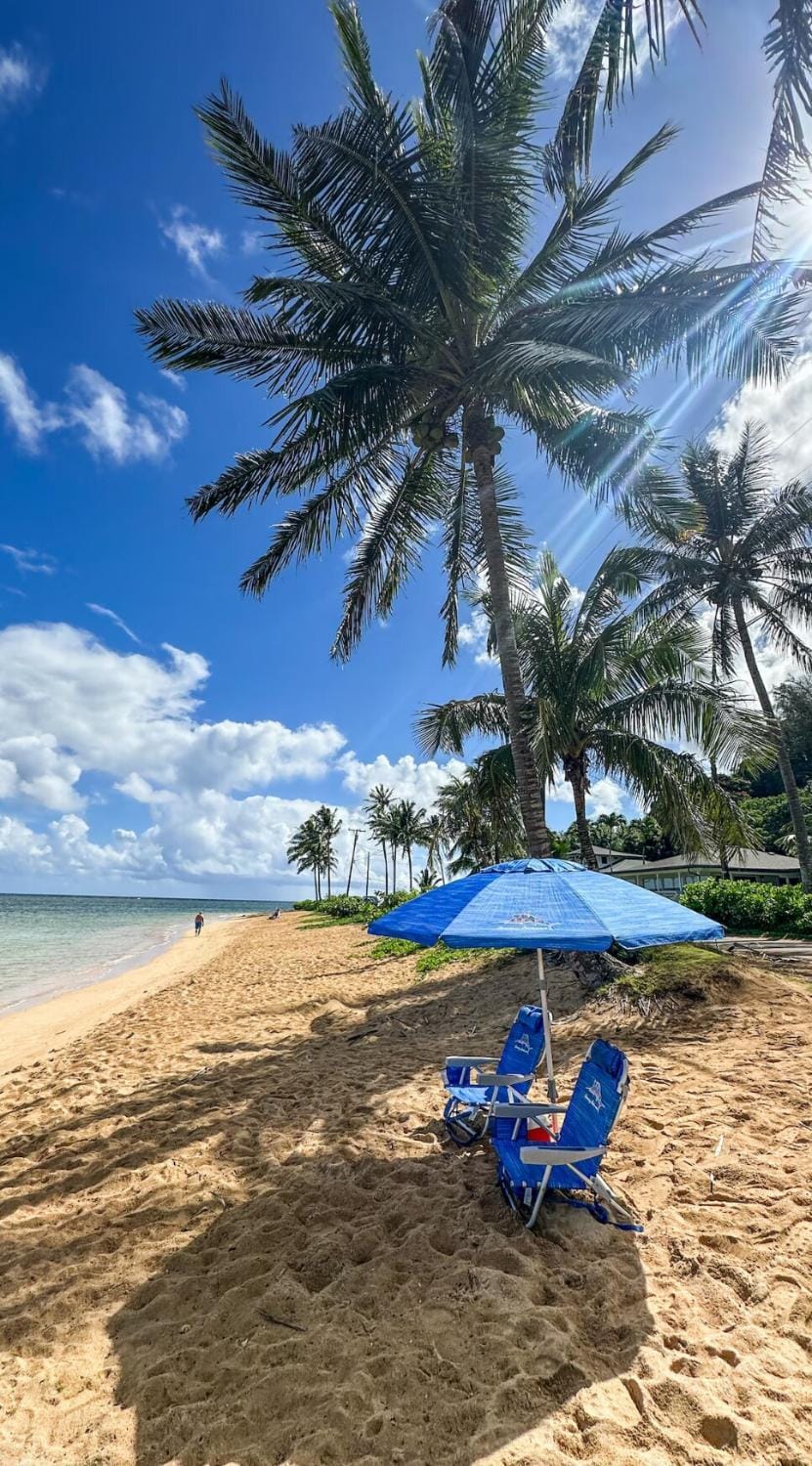 Ocean view AC, pool hot tub coconut marketplace House in Wailua