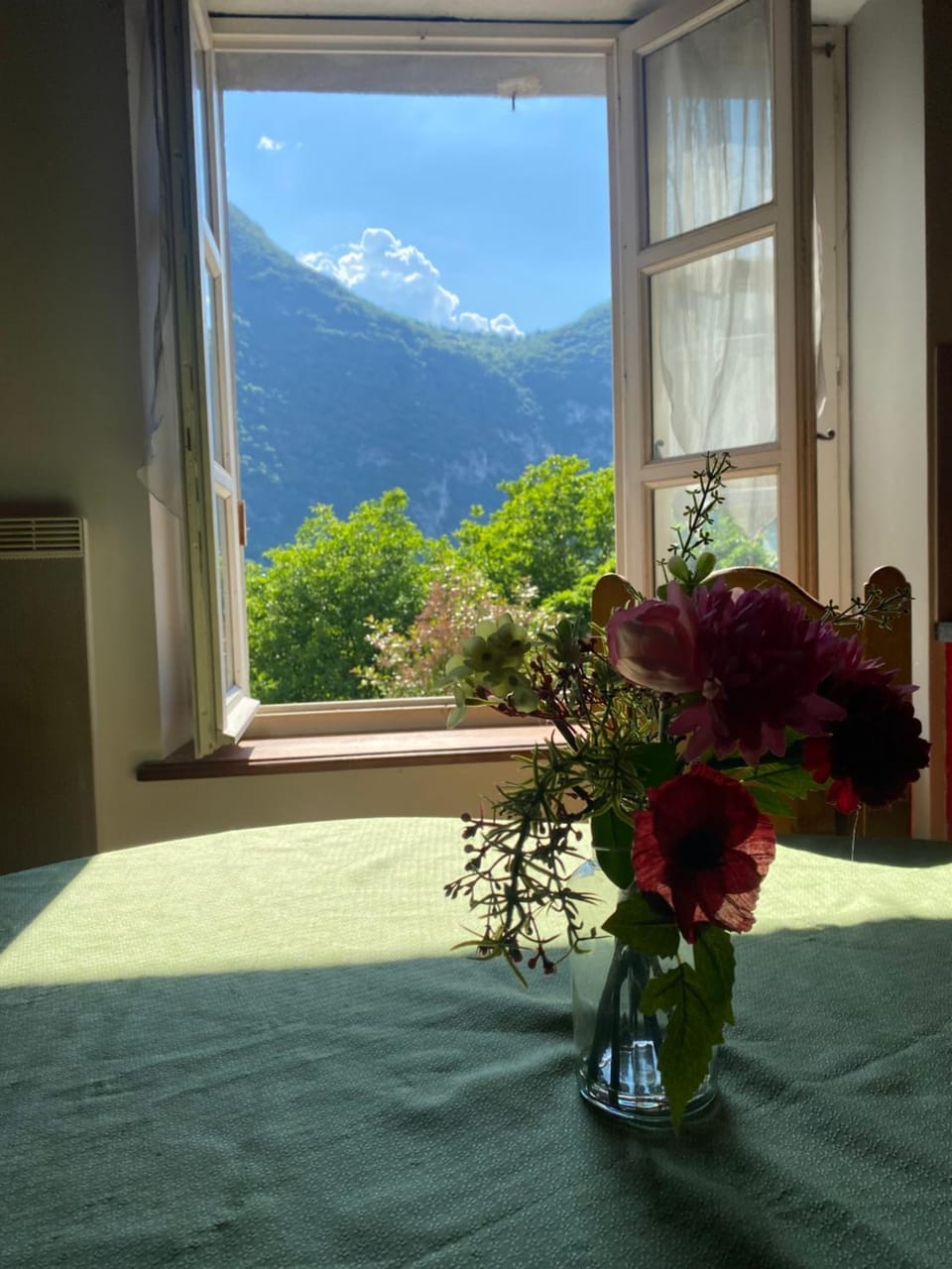 Mountain view