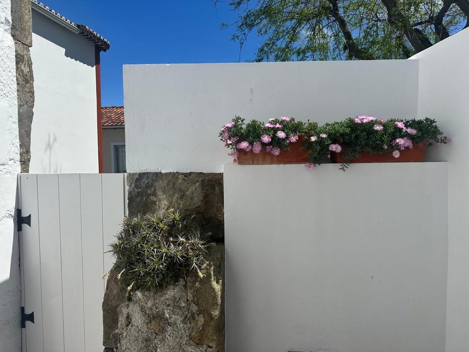 Patio, Balcony/Terrace