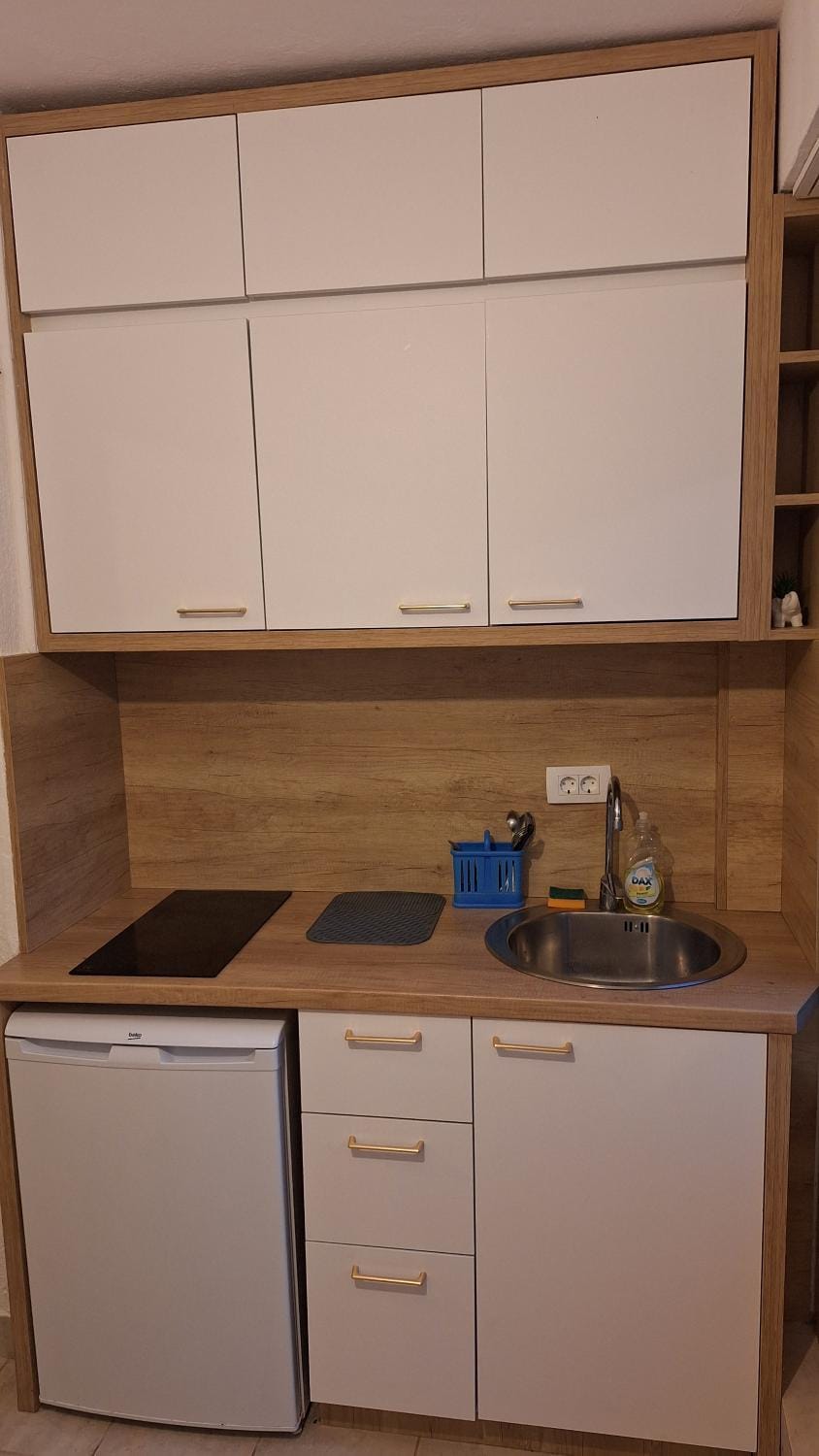 Studio Rale Apartment in Budva Municipality