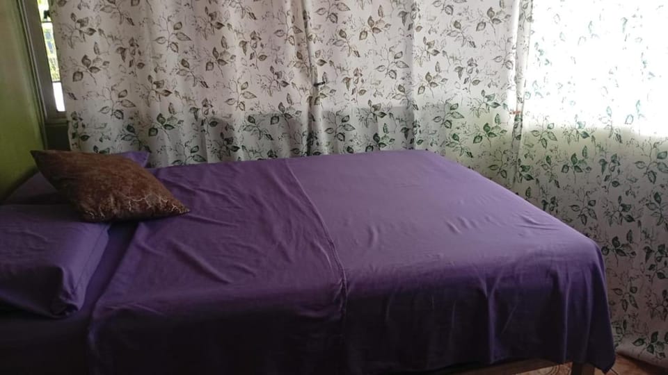 Green house Apartment in Puntarenas Province