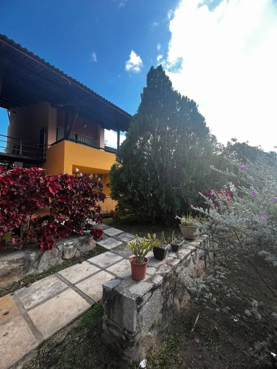 Garden view
