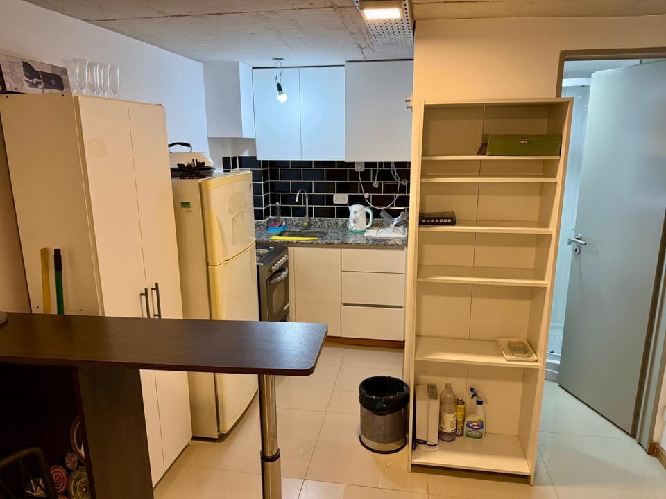 Palermo Gascon Apartment in Buenos Aires