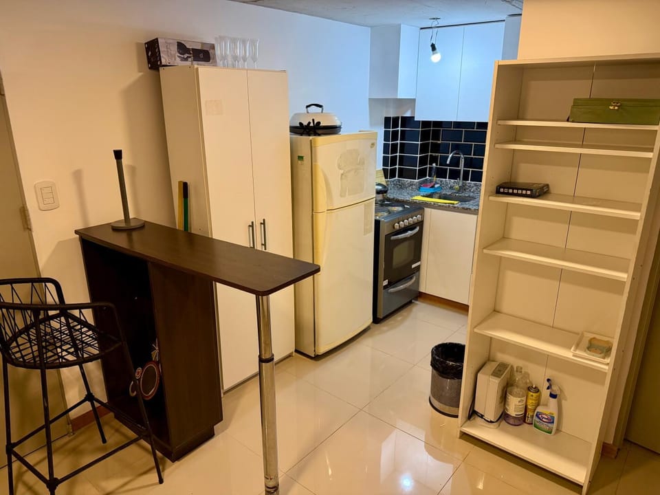 Palermo Gascon Apartment in Buenos Aires