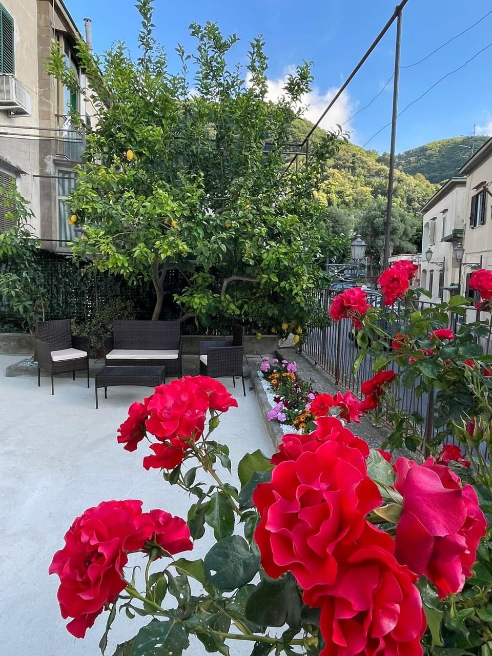 Spring, Garden, Garden view