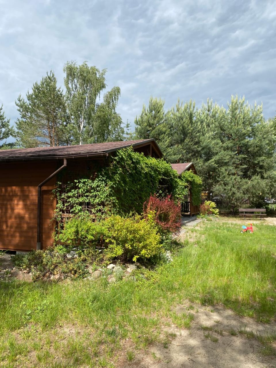 Property building, Spring, Day, Garden, Garden view