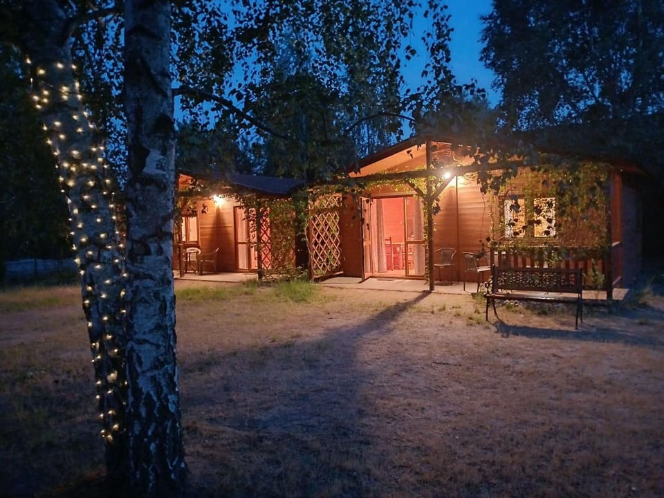 Property building, Night, Natural landscape, Garden, Garden view