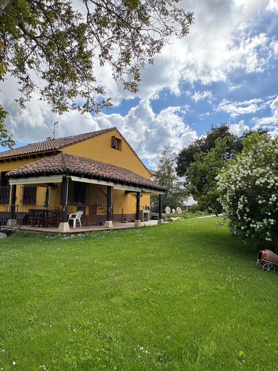 Garden view