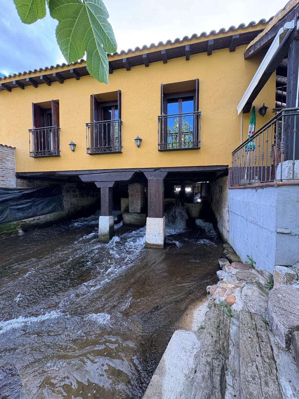 River view