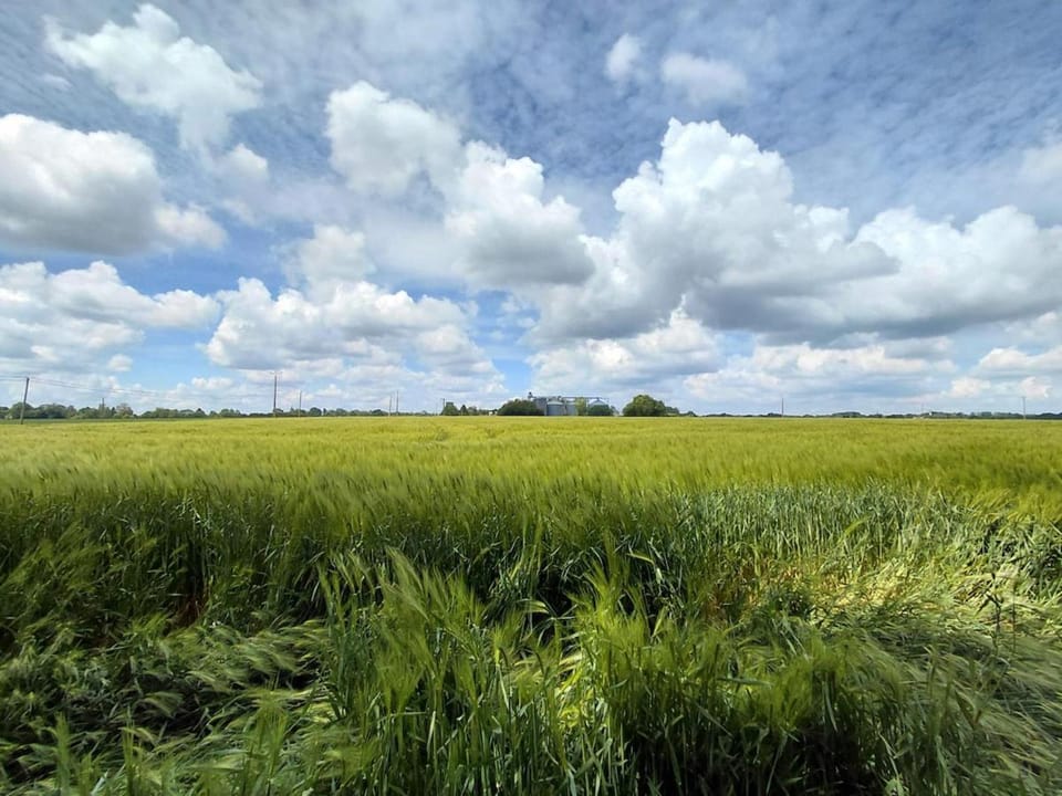 Spring, Natural landscape