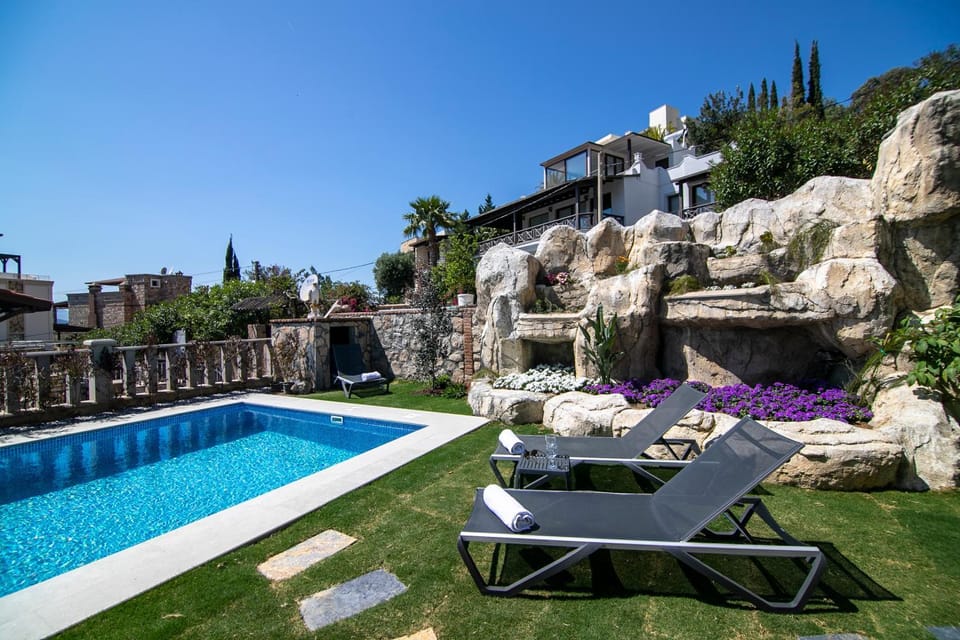 Day, Garden, Garden view, Swimming pool, sunbed