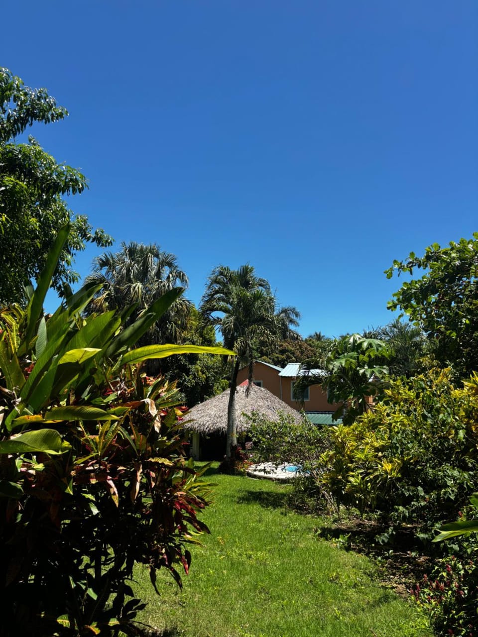 Guesthouse in tropical villa with gorgeous garden Chalet in Cabrera