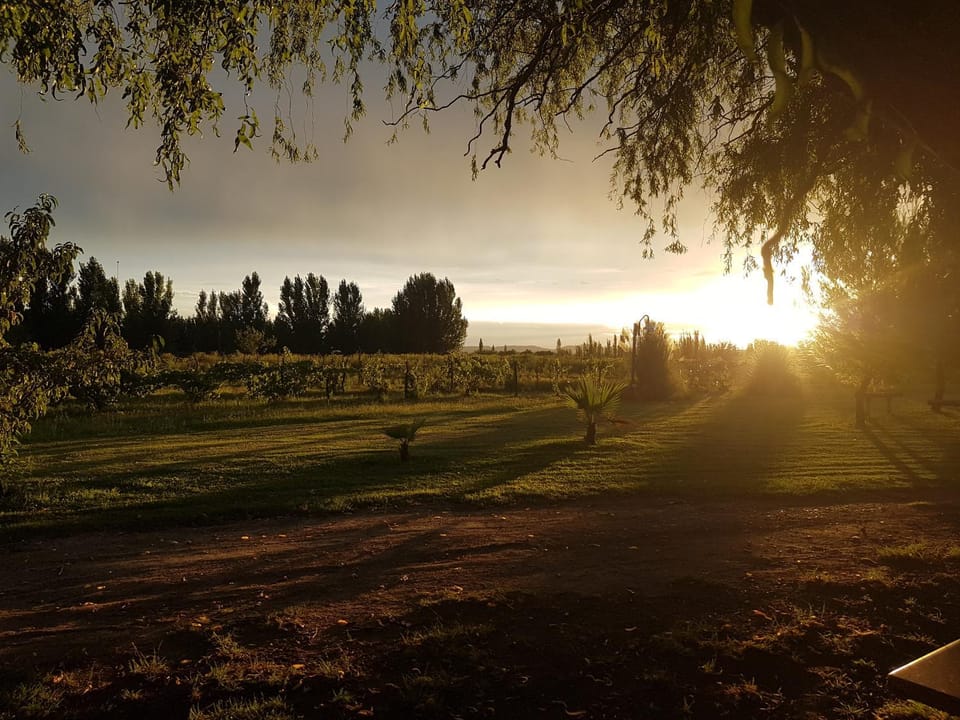 Summer, Sunset