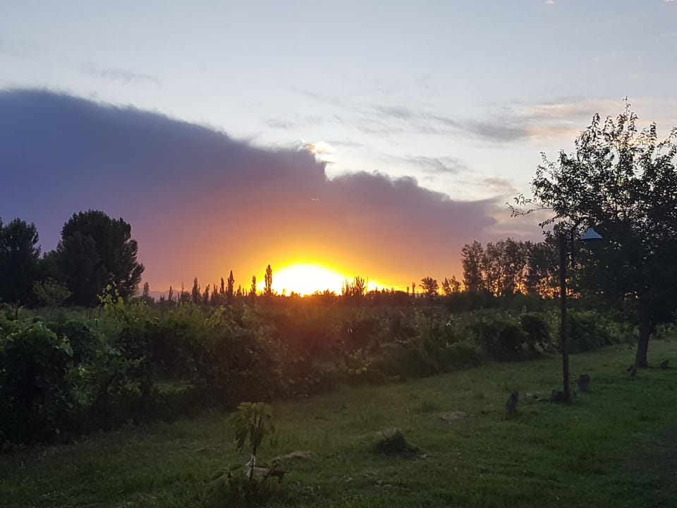 View (from property/room), Sunset