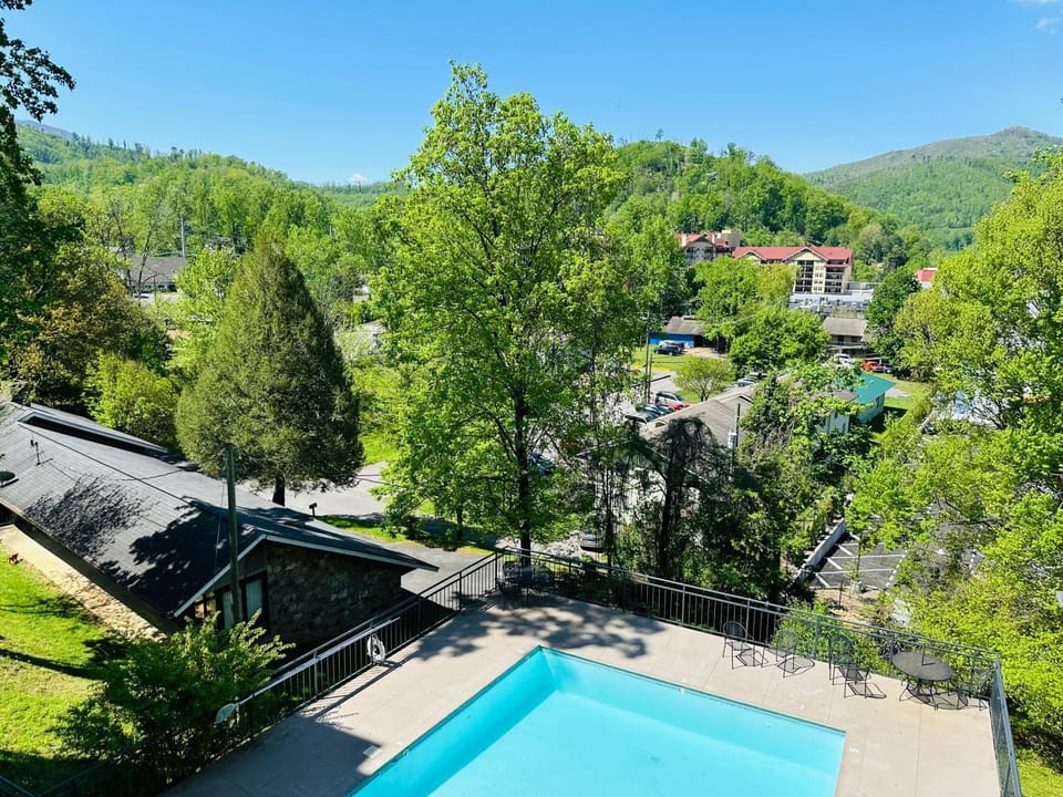 Pool view, Swimming pool