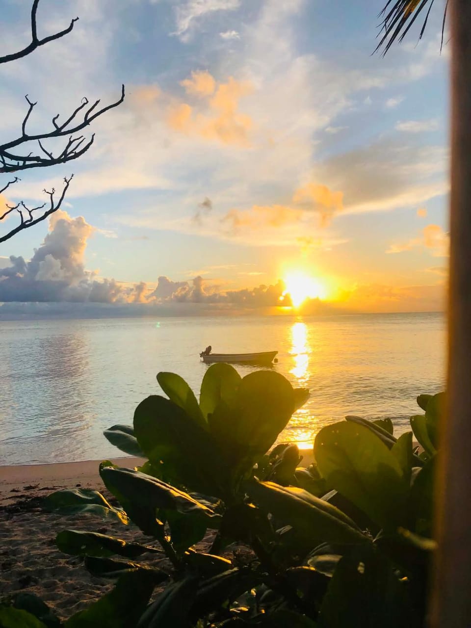 Sunrise