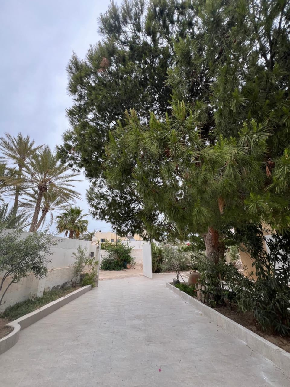 Villa cleopatra Villa in Tunisia
