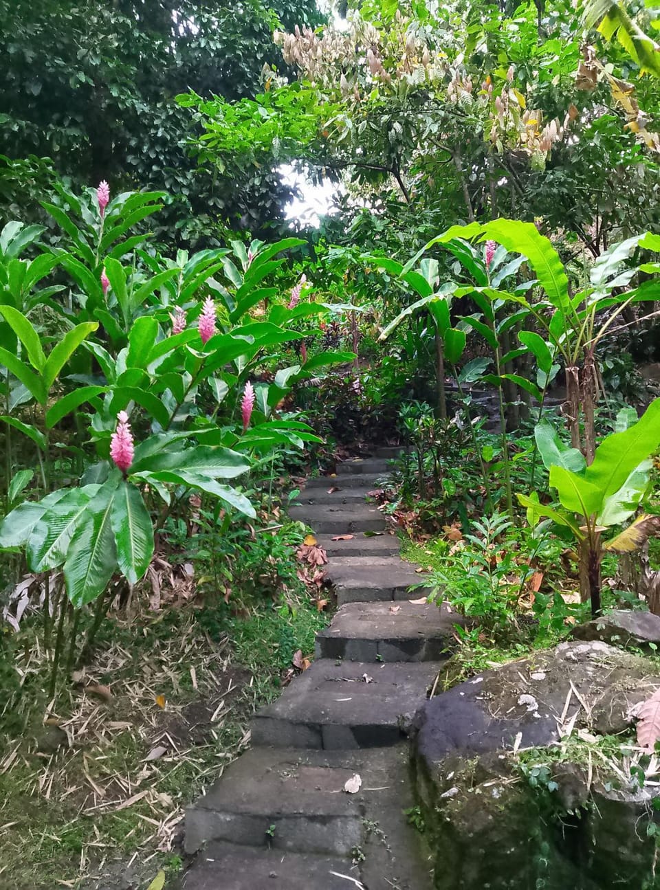 Kaiche Nature lodge in Dominica