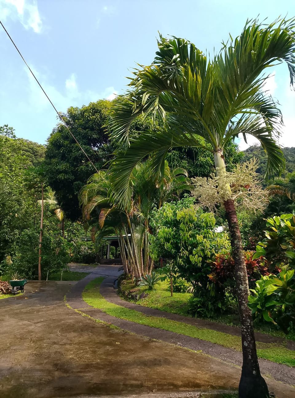 Kaiche Nature lodge in Dominica