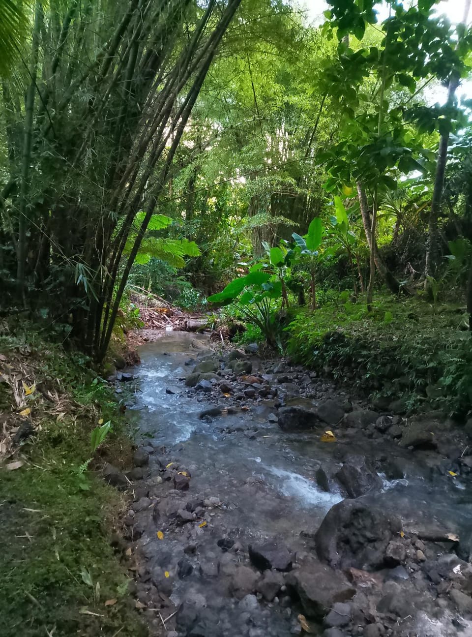 Kaiche Nature lodge in Dominica