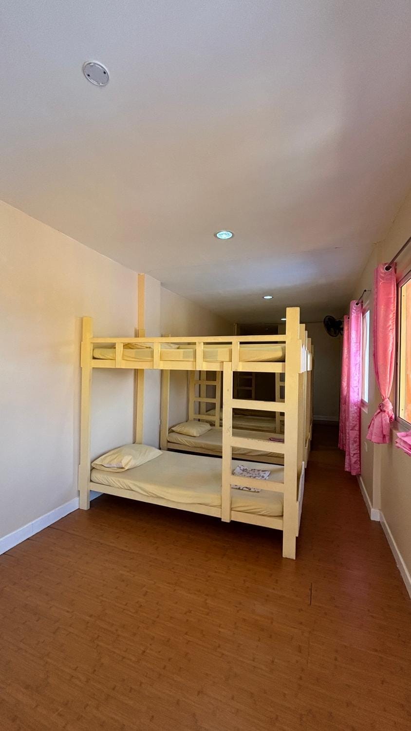bunk bed