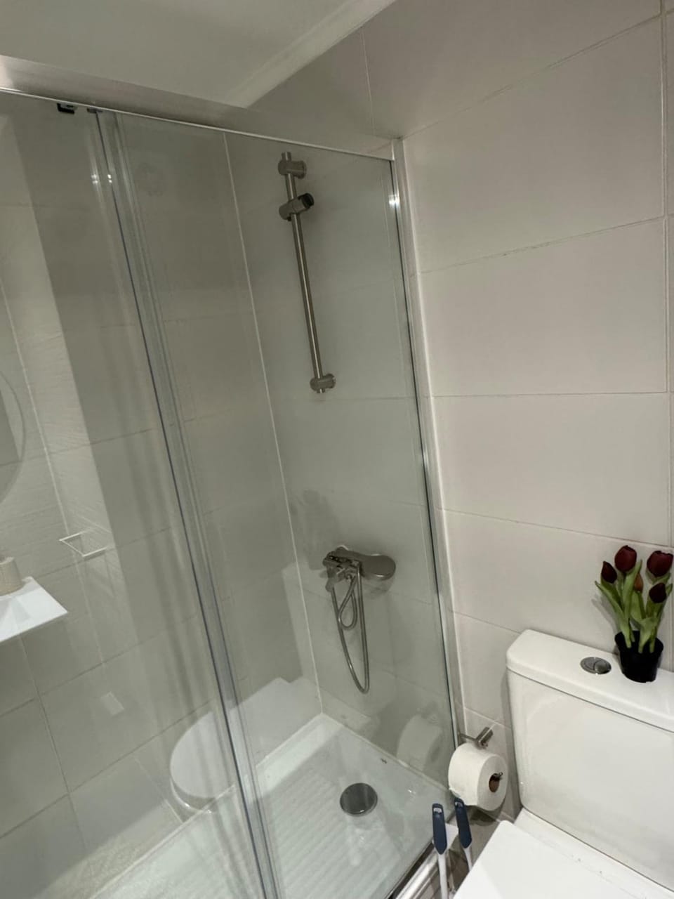Style and comfort steps from Barrio Italia Apartment in Santiago