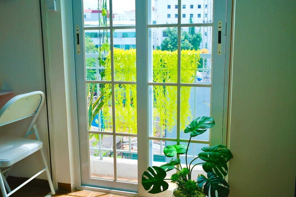 View (from property/room)