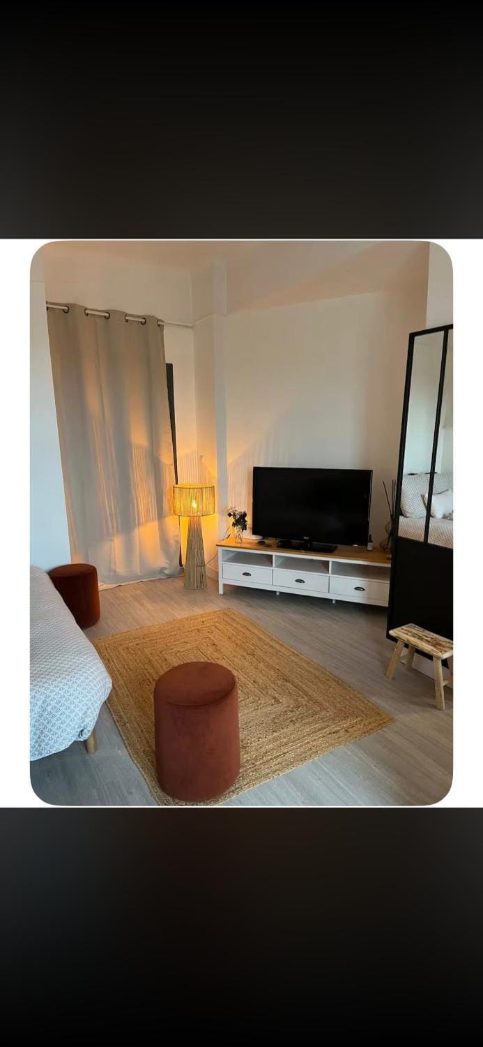 Petit cocon cosy Apartment in Saint-Remy-de-Provence
