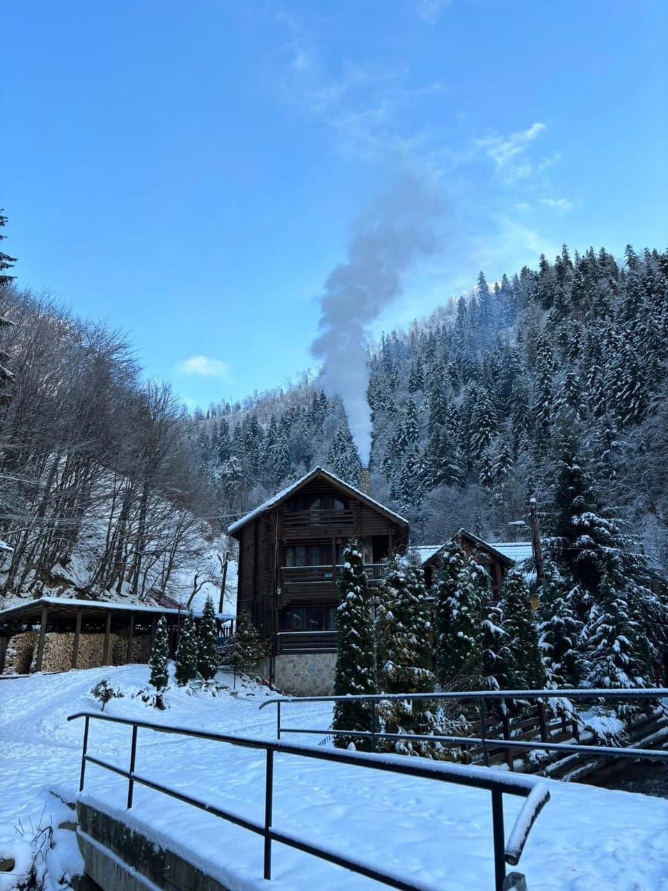 Cabana Bradul Nature lodge in Romania