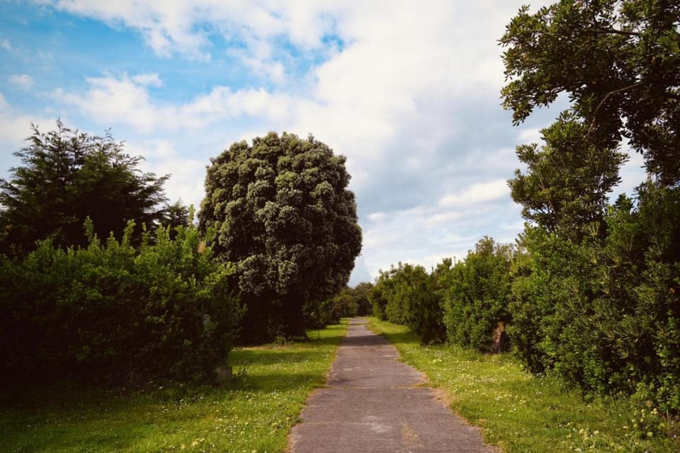 Natural landscape