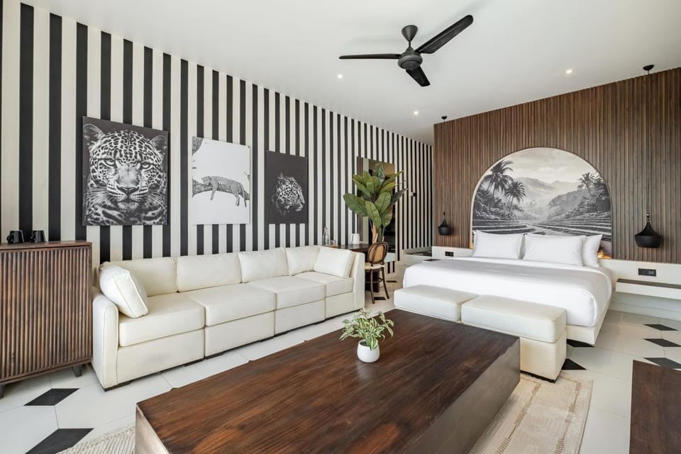Photo of the whole room